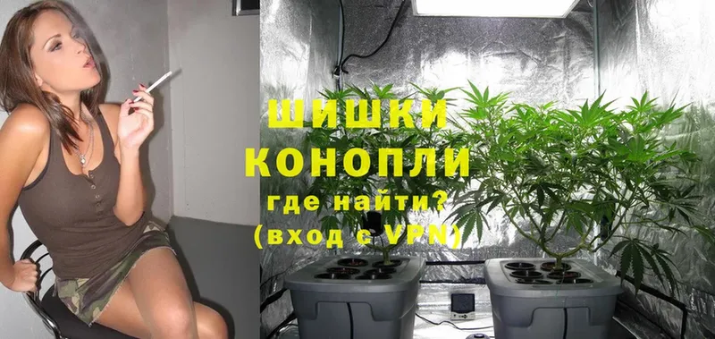 сколько стоит  Владимир  Канабис White Widow 